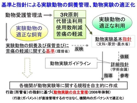 飼養動物|動物の適正な取扱いに関する基準等